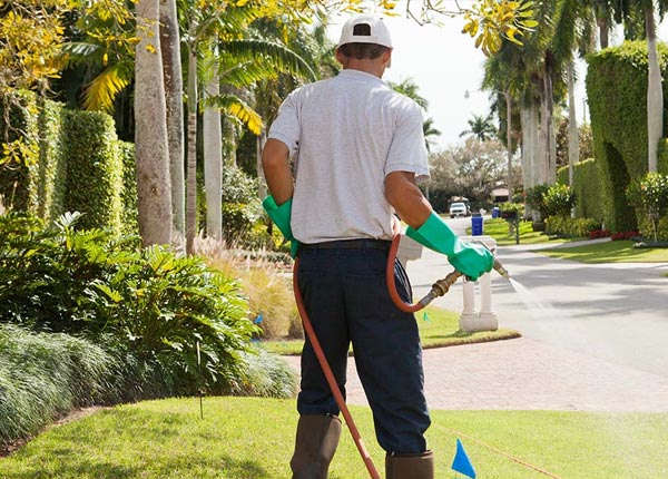 About Conshohocken PA Pest Control Pros